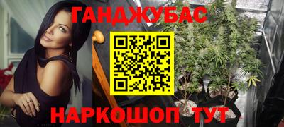 крисы Донецк